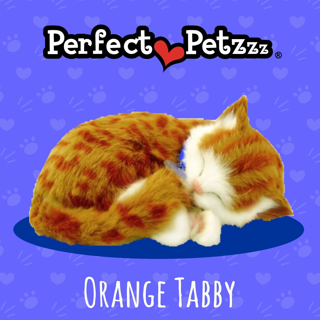 Filhote Gato TABBY QueRespira Perfect Petzzz