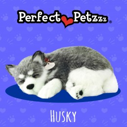 Filhote HUSK QueRespira Perfect Petzzz