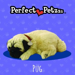 Filhote PUG QueRespira Perfect Petzzz