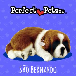 Filhote SAO BERNARDO Collie QueRespira Perfect Petzzz