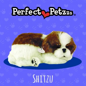 Filhote SHITZU QueRespira Perfect Petzzz